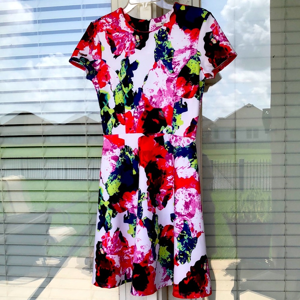 Milly Dress Fit & Flare SZ 10 Floral Like New!